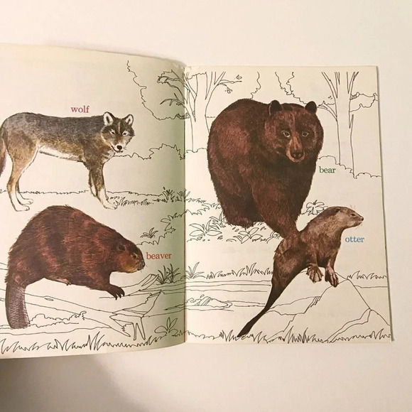 Vintage 1977 Wild Animals Golden Word Bird Book Paperback Golden Press - Picture 10 of 16